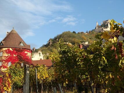 Dürnstein im Herbst