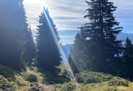 Aussicht auf der Rundtour Alp Glivers