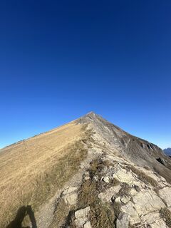 Fotografija s spletne strani Remo Fuchs na poti