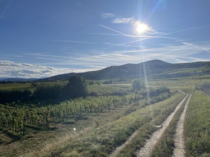 Foto de Maria Wieser a lo largo del recorrido