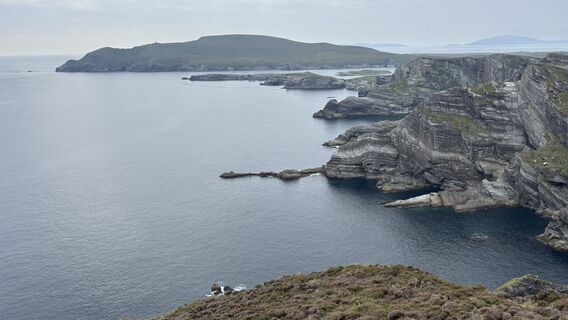 Fotografia z sagal na trase
