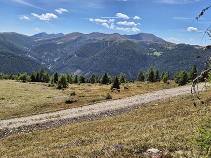 Foto fra Susann Herfurth underveis på turen
