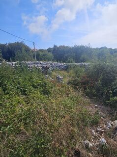 Foto von Schienerbue entlang der Tour