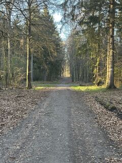 Foto von Dirk Mallow entlang der Tour