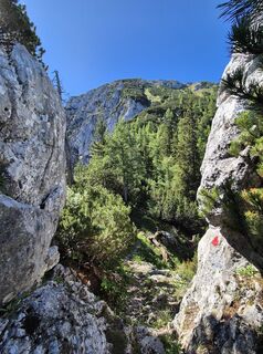Photo de josef duermoser le long du parcours
