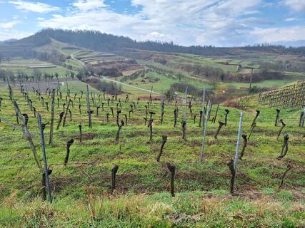 Fotografie de la wen de-a lungul turului
