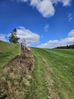 Photo de ElkeA le long du parcours