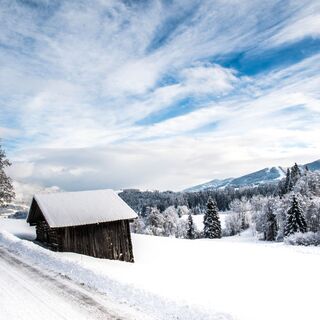 Weg zum Schloss Höch