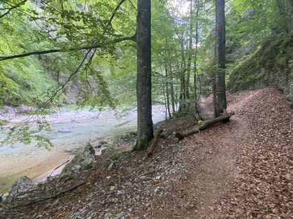 Photo de Friedrich Schlager le long du parcours
