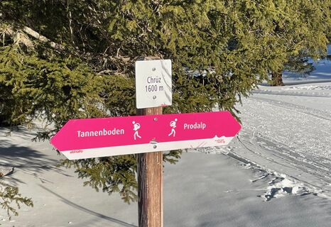 Wegweiser Chrüz nach Prodalp und Tannenboden