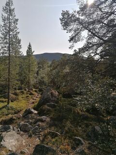 Fotografija s spletne strani Sonce.S na poti