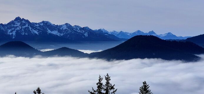 Foto de Thomas Schekira a lo largo del recorrido