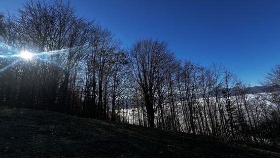 Photo de Sehcup le long du parcours