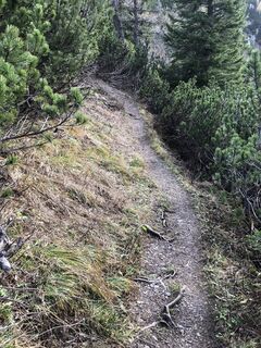 Photo de Helmut Meyer le long du parcours