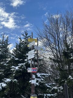 Fotografia z Angelika Kowalska na trase