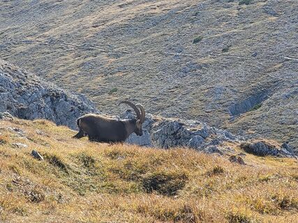 Photo de Claudia Maier 2 le long du parcours