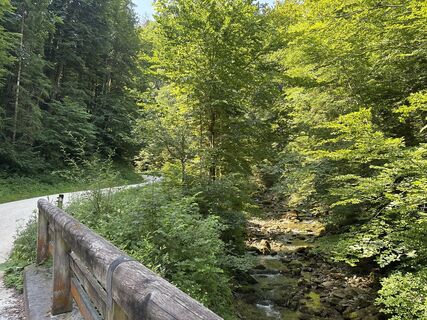 Fotografia z Heinz Sperl na trase