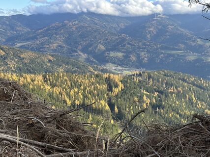 Fotografia z Roberto En na trase