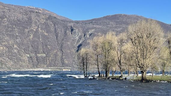 Fotografija s spletne strani Lis Malzach na poti