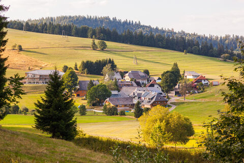 Herrenschwand
