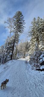 Foto von Peter Strohmayer entlang der Tour