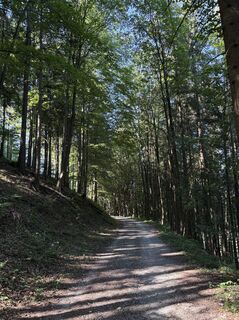 Foto de Moonytiger a lo largo del recorrido
