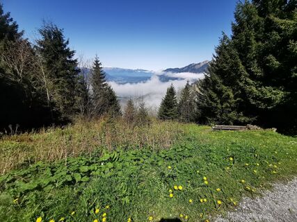 Foto von Waldläufer entlang der Tour