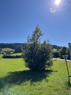 Foto da Heinz Sperl lungo il tour