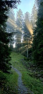 Photo de Thomas Schekira le long du parcours