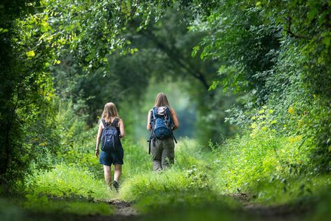 Wanderer - Großer Orther Rundwanderweg