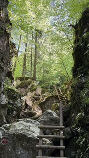 Photo de Gernot Gander le long du parcours