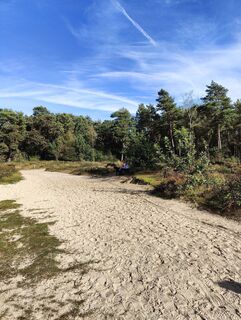 Foto de Rita Lubbers a lo largo del recorrido