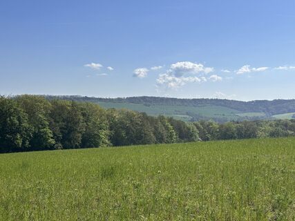 Fotografie z Norbert Herbig na trase