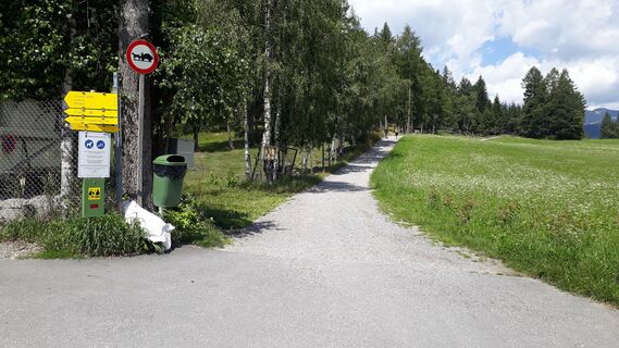 Forstweg Sonnenalm