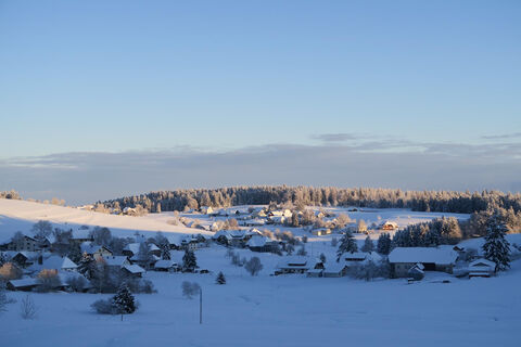 Winterwanderung 3 Herrischried