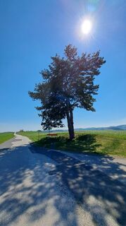 Fotografia z Roland Meitz na trase