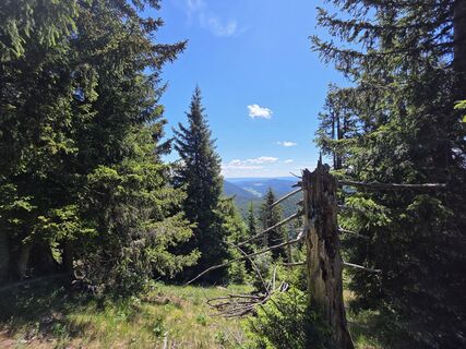 Photo de FritzB le long du parcours