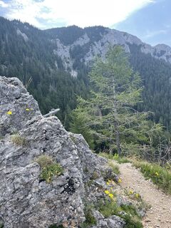 Photo de Christina Schuler 1 le long du parcours