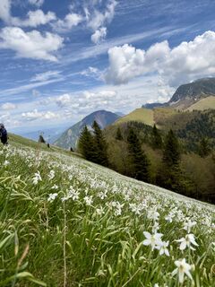 Foto von Birgit entlang der Tour