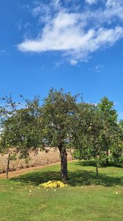 Fotografie z HeleneEcker na trase