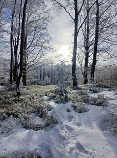 Fotografia z Daniel Kremiec na trase