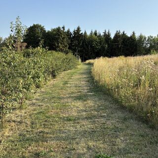 Alles im Grünen Rundweg