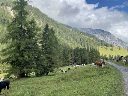 Foto von Stefan Zahlbrecht entlang der Tour