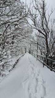 Foto von Regina Fleischmann entlang der Tour
