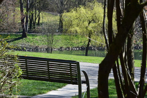 Kurpark in Nümbrecht 