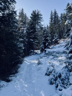 Foto de Franz Höfferl a lo largo del recorrido