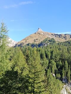 Foto von Manfred Adelsberger entlang der Tour
