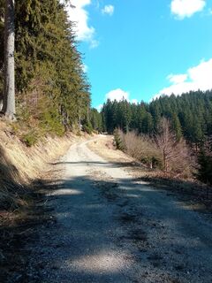 Foto von Lisa Pimminger 1 entlang der Tour