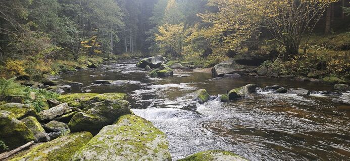 Fotografia z Berni_S na trase