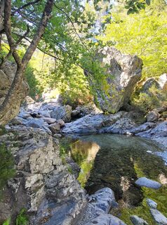 Fotografija s spletne strani Nikola Kasalová na poti